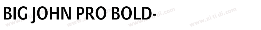 BIG JOHN PRO BOLD字体转换